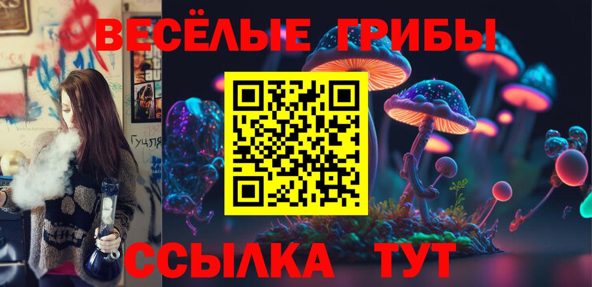 Юрга  Галлюциногенные грибы Cubensis  Вход с VPN 